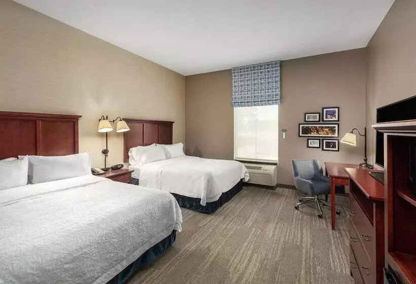 اتاق استاندارد برای معلولان, Hampton Inn Branson Branson Hills
