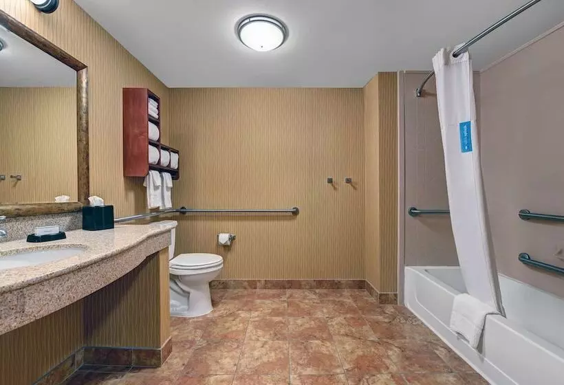 身障者適用スタンダードルーム, Hampton Inn Deming