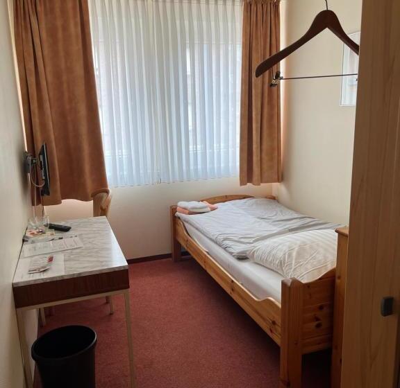 غرفة قياسية فردية, Herzog