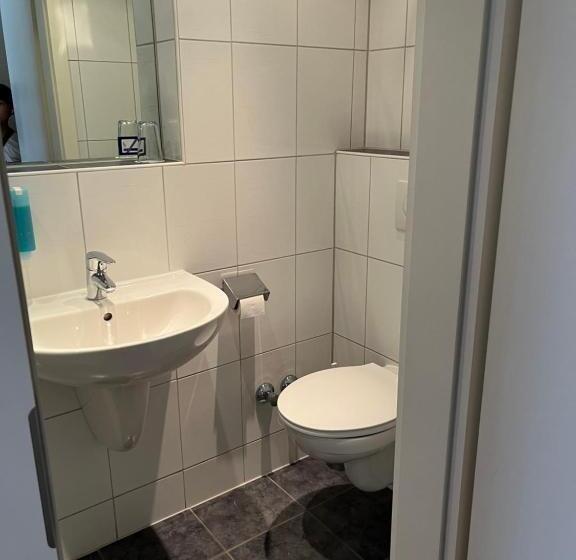 غرفة قياسية فردية, Herzog