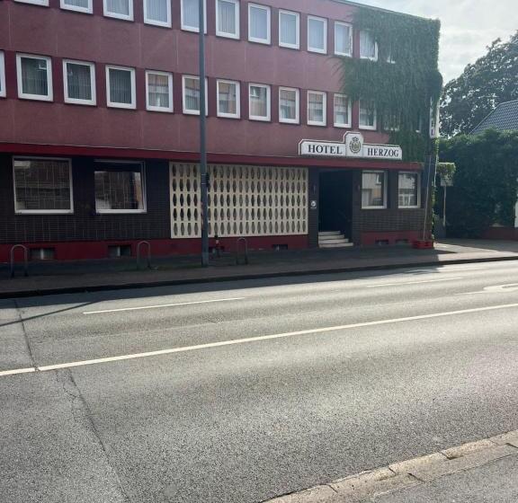 غرفة قياسية فردية, Herzog