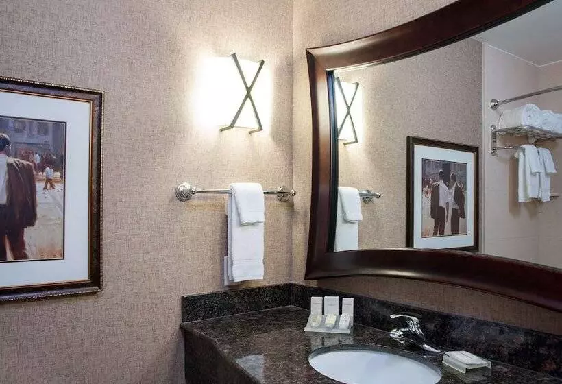 ジュニアスイート, Hilton Garden Inn Columbus/edinburgh
