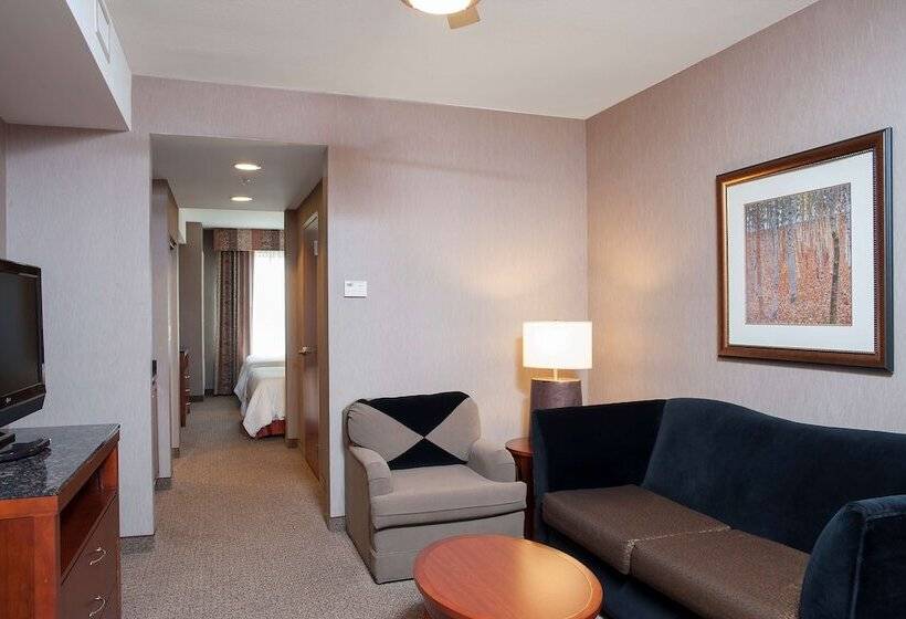 جناح جونيور, Hilton Garden Inn Columbus/edinburgh