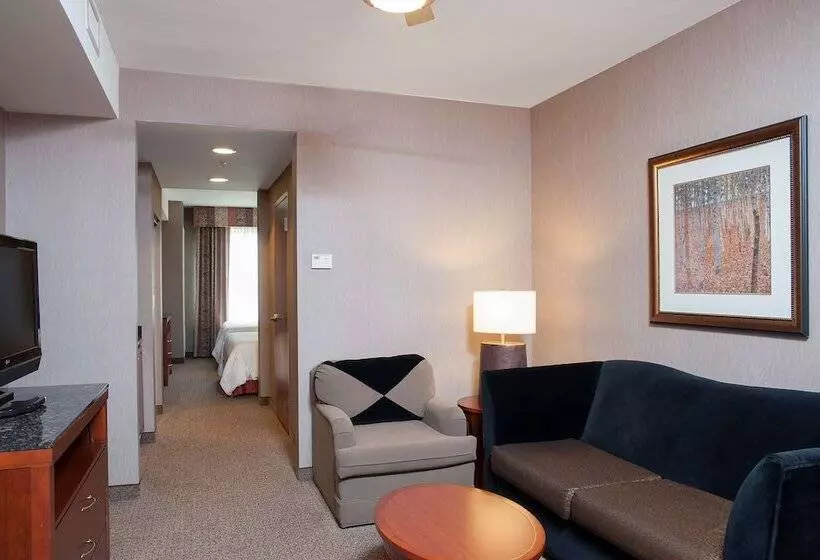 ジュニアスイート, Hilton Garden Inn Columbus/edinburgh