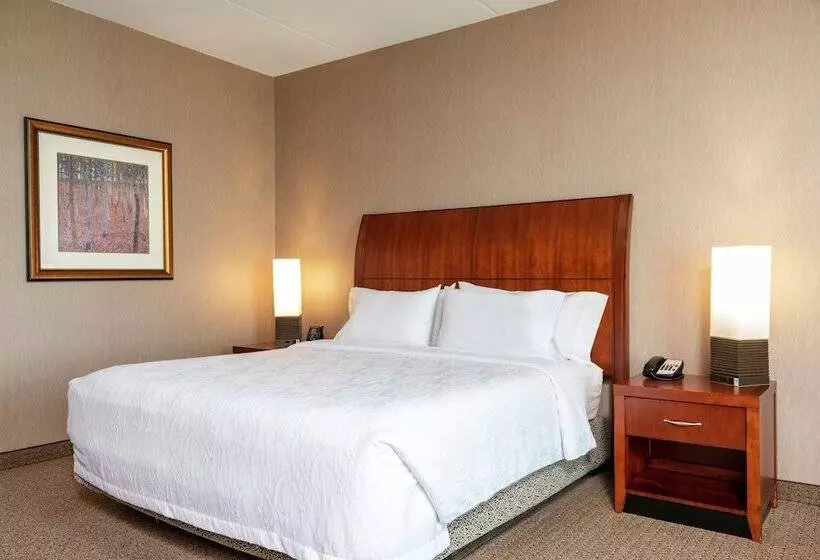 身障者適用スタンダードルーム, Hilton Garden Inn Columbus/edinburgh