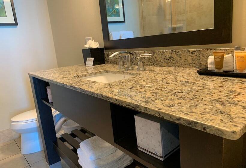 جناح ذو إطلالة جانبية على البحر, South Beach Biloxi Hotel & Suites