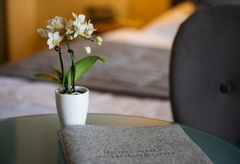 اتاق استاندارد یک نفره, Bergwirt Schönbrunn