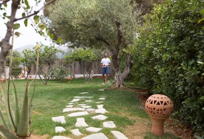اتاق استاندارد, Kalypso