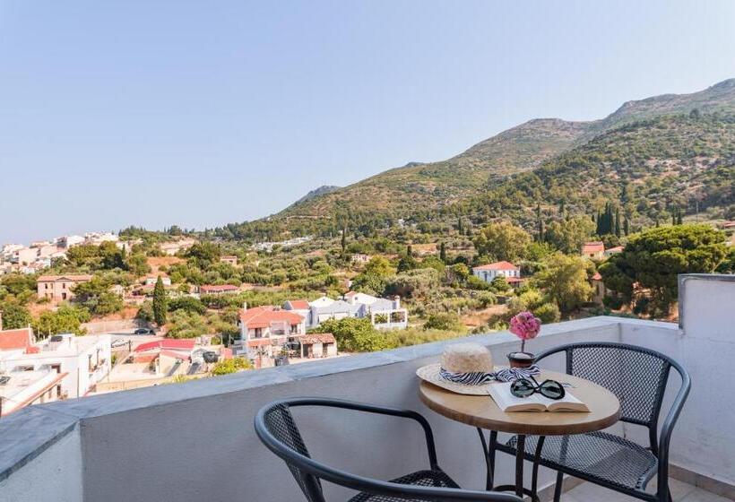 اتاق اکونومی, Virginia