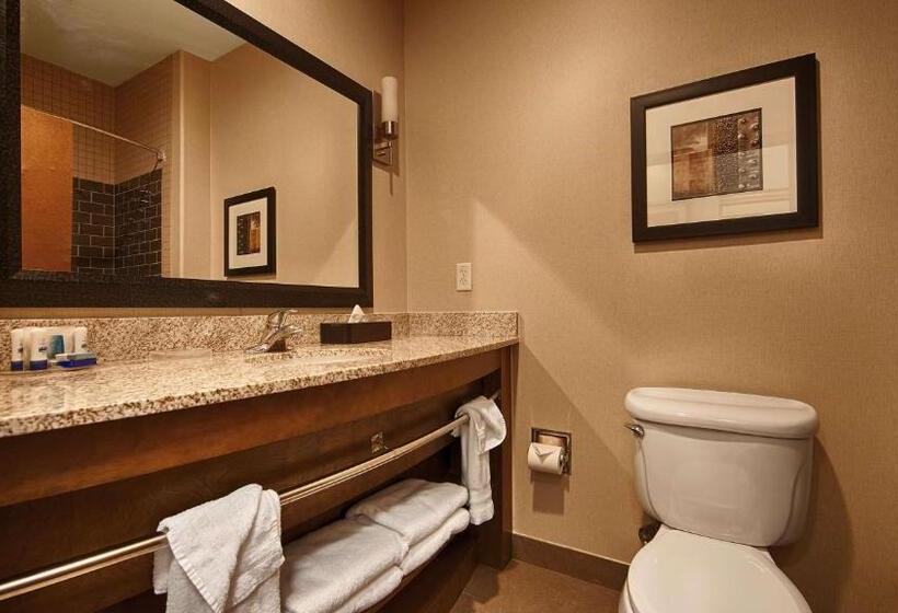 اتاق لوکس با تخت بزرگ, Best Western Plus Lackland Hotel And Suites