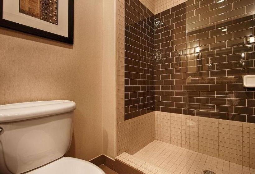 חדר דחוקס עם מיטת קינג, Best Western Plus Lackland Hotel And Suites