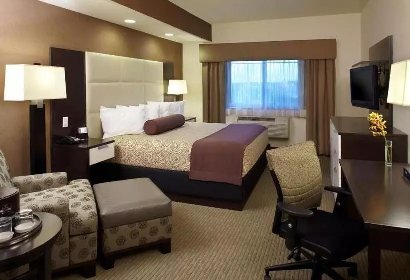 Deluxe-huone King-vuode, Best Western Plus Lackland Hotel And Suites