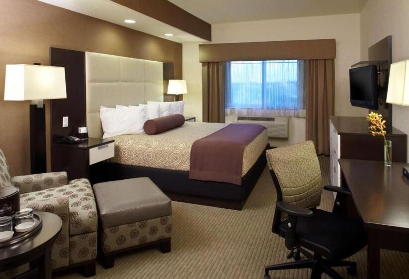 اتاق استاندارد با تخت بزرگ برای معلولان, Best Western Plus Lackland Hotel And Suites