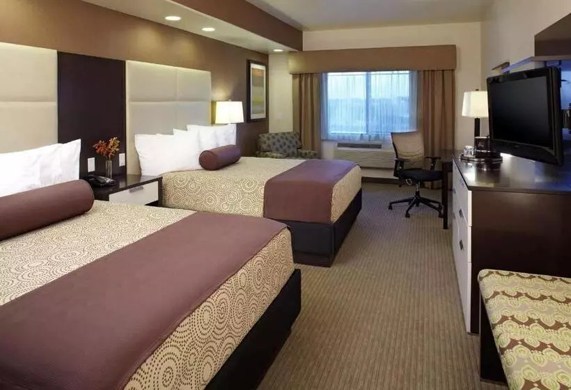 Standard-invahuone, Best Western Plus Lackland Hotel And Suites