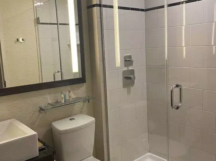 اتاق استاندارد با 2 تخت دوبل, Doubletree By Hilton New York Downtown