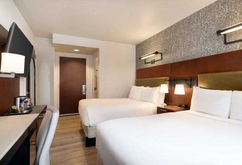 스탠다드 룸 더블 침대 2개, Doubletree By Hilton New York Downtown