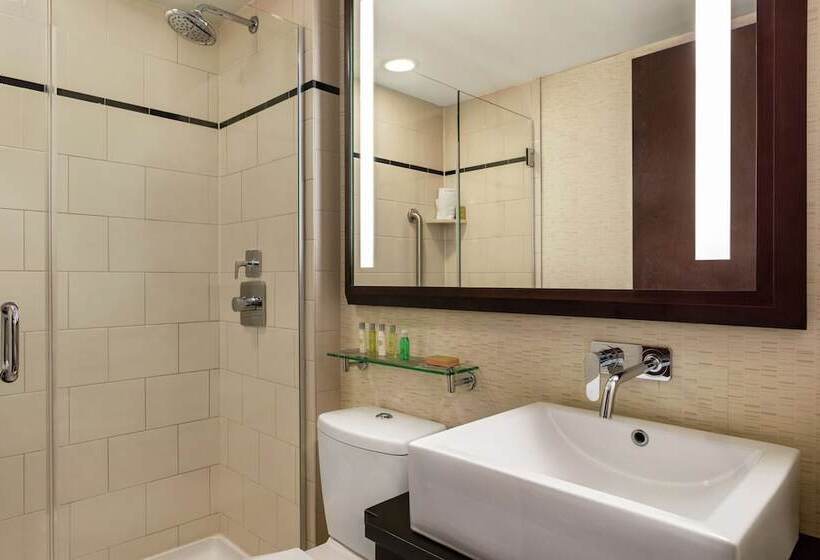 غرفة قياسية سرير مزدوج, Doubletree By Hilton New York Downtown