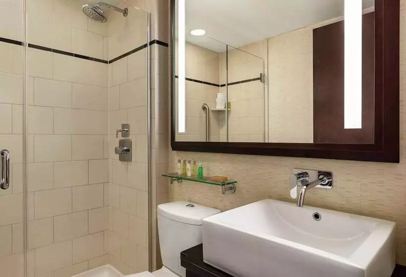 اتاق استاندارد با تخت دوبل, Doubletree By Hilton New York Downtown