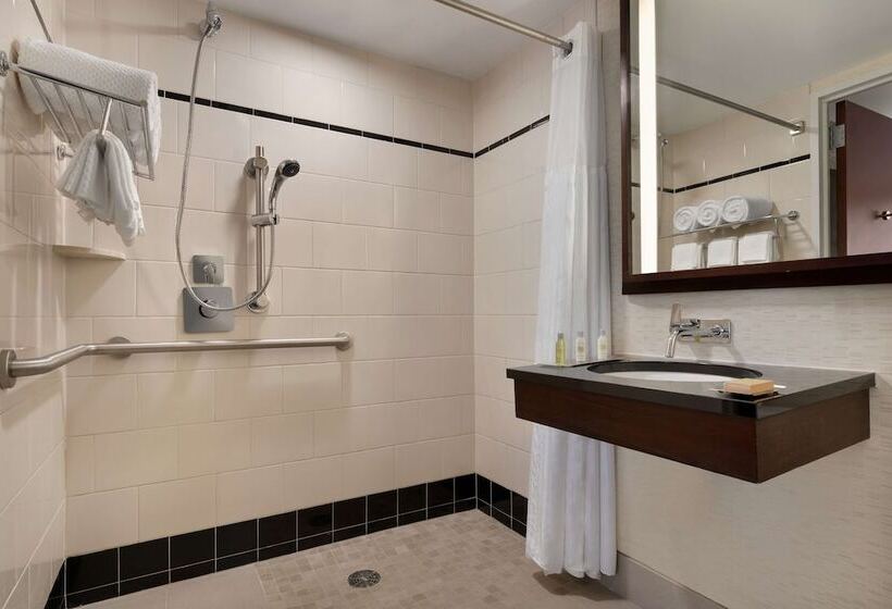 غرفة قياسية لذوى الاحتياجات الخاصة, Doubletree By Hilton New York Downtown