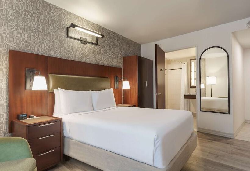 غرفة قياسية لذوى الاحتياجات الخاصة, Doubletree By Hilton New York Downtown