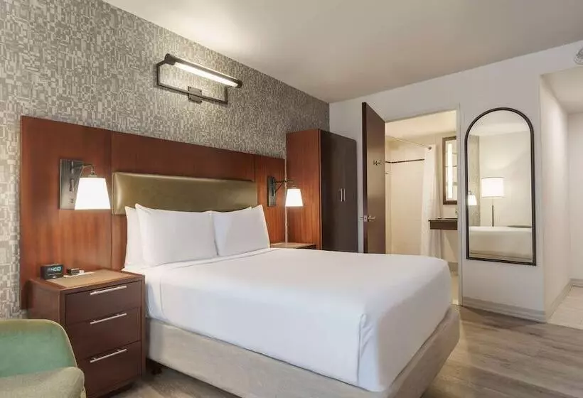 اتاق استاندارد برای معلولان, Doubletree By Hilton New York Downtown