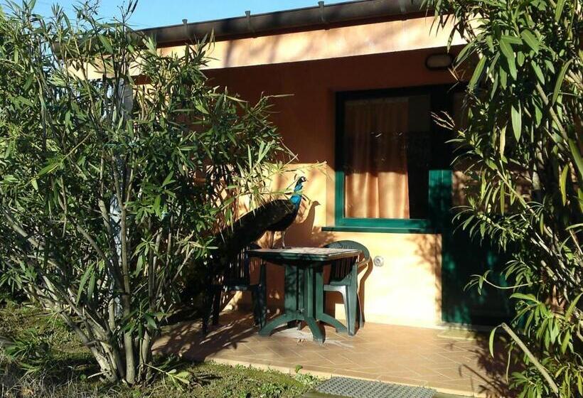 اتاق کلاسیک, Garden Village San Marino