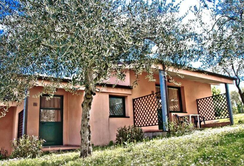 اتاق کلاسیک, Garden Village San Marino