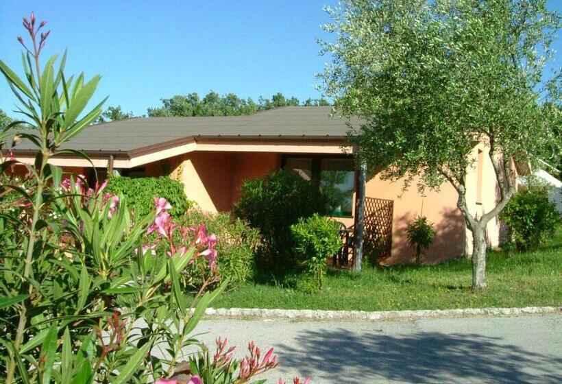 اتاق سوپریور, Garden Village San Marino