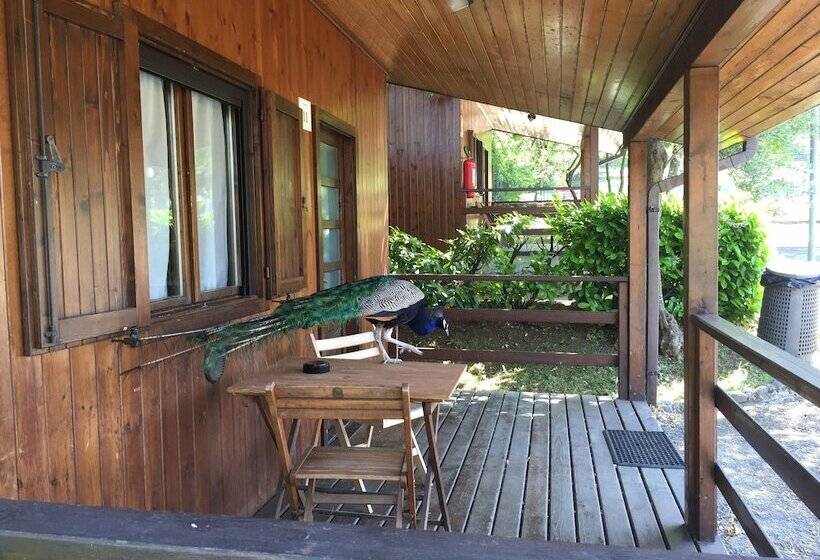 استودیوی استاندارد, Garden Village San Marino