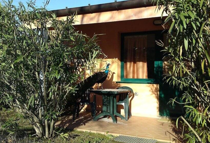 اتاق سوپریور, Garden Village San Marino