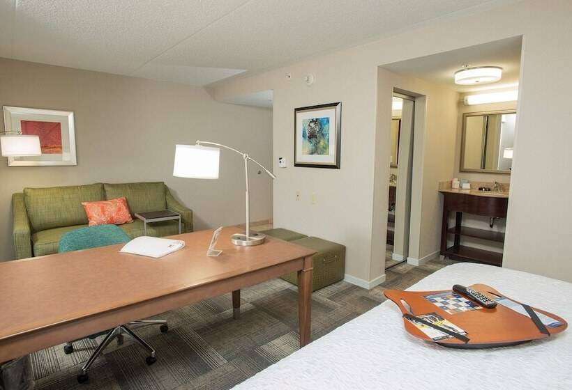 Студия Стандарт, Hampton Inn & Suites Cincinnati Union Center