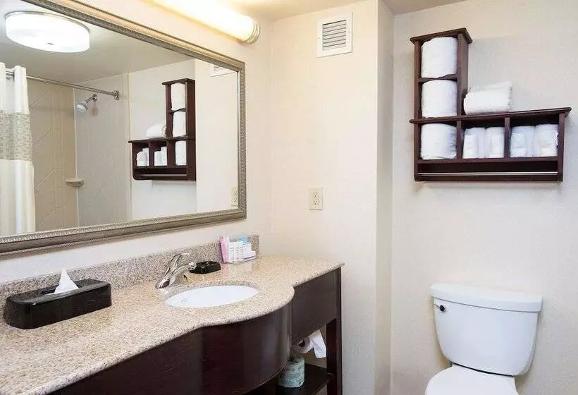 スタンダードルーム, Hampton Inn & Suites Cincinnati Union Center