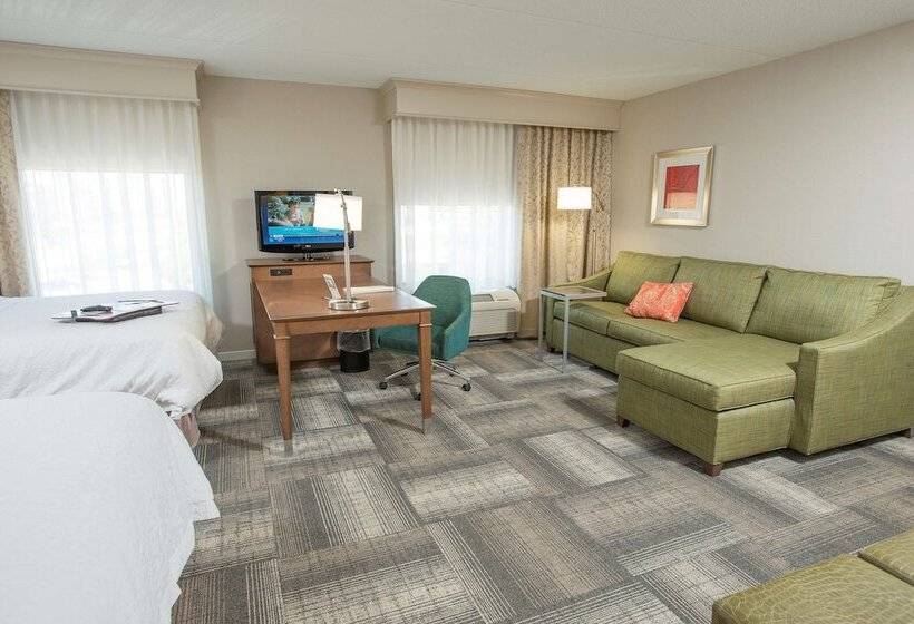 Студия Стандарт, Hampton Inn & Suites Cincinnati Union Center