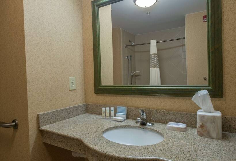 标准间, Hampton Inn Easley