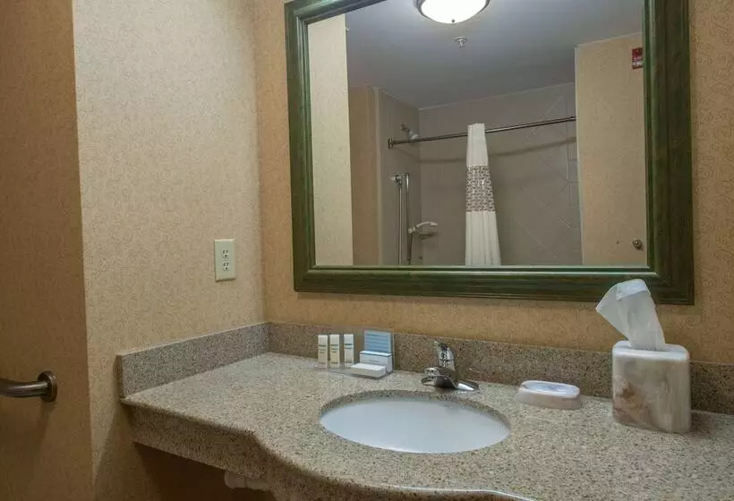 スタンダードルーム, Hampton Inn Easley