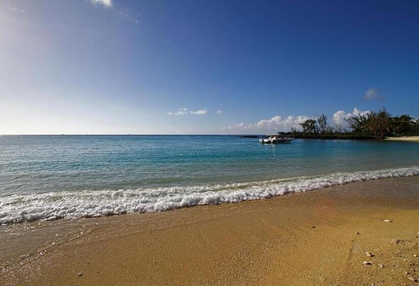 اتاق سوپریور با چشمانداز باغ, Hibiscus Boutique