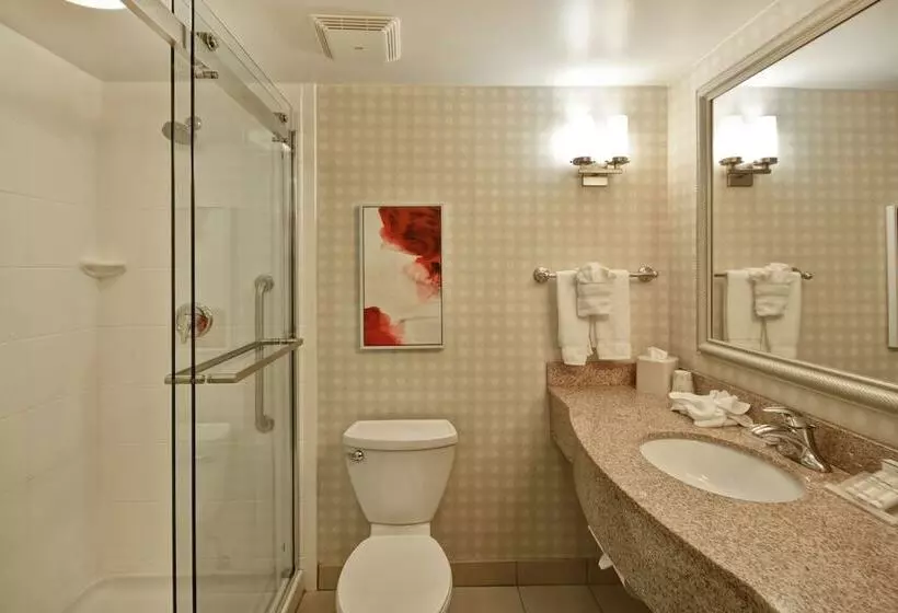 身障者適用スタンダードルーム, Hilton Garden Inn Riverhead