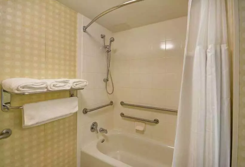 身障者適用スタンダードルーム, Hilton Garden Inn Riverhead