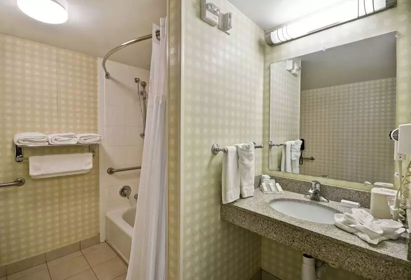 身障者適用スタンダードルーム, Hilton Garden Inn Riverhead