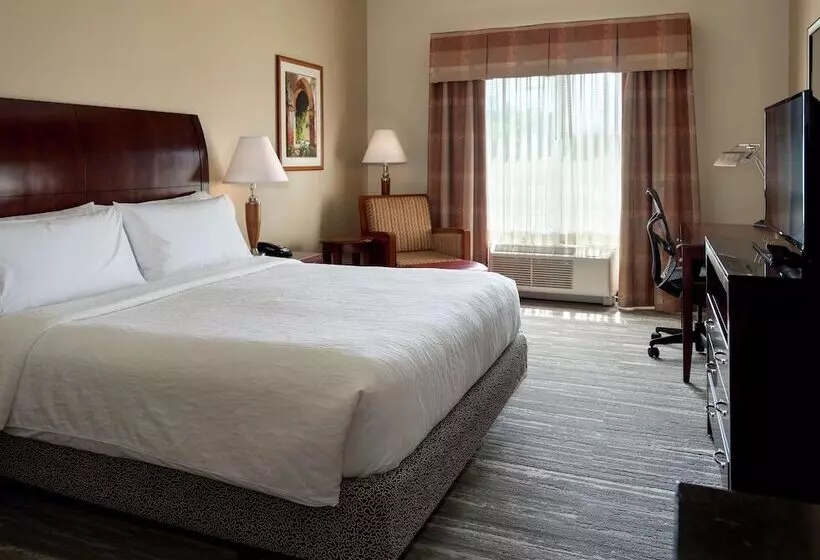 身障者適用スタンダードルーム, Hilton Garden Inn Riverhead