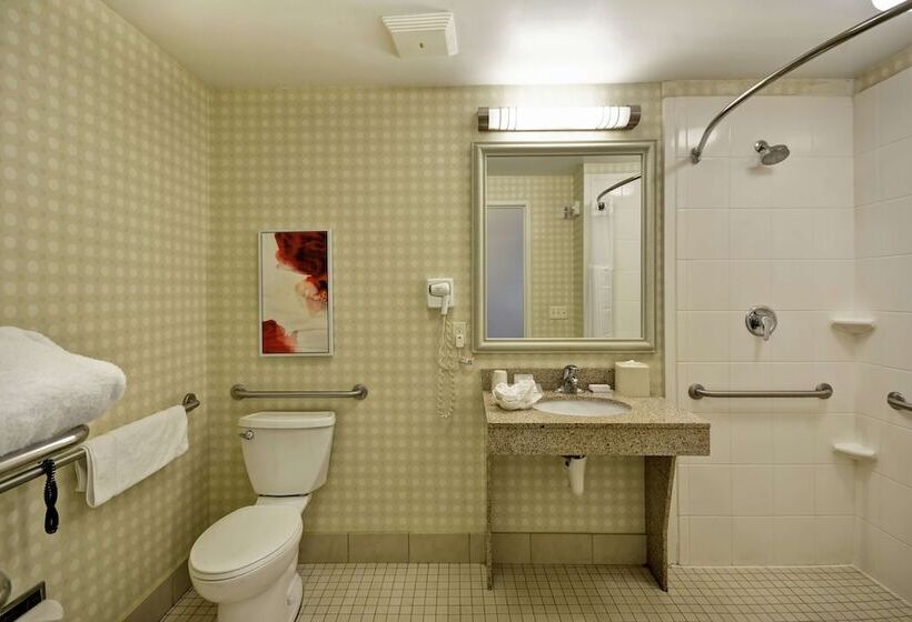 장애인을 위한 스탠다드 룸, Hilton Garden Inn Riverhead