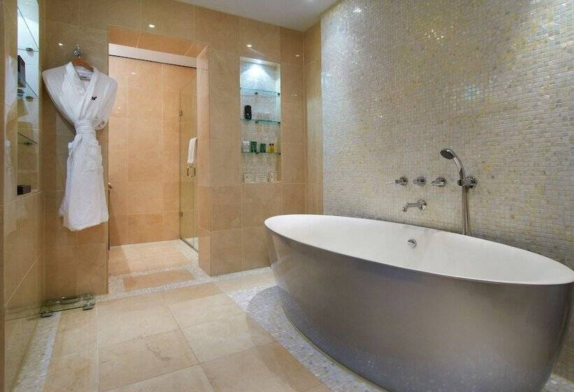 Полулюкс Кровать Кинг, Hilton London Syon Park