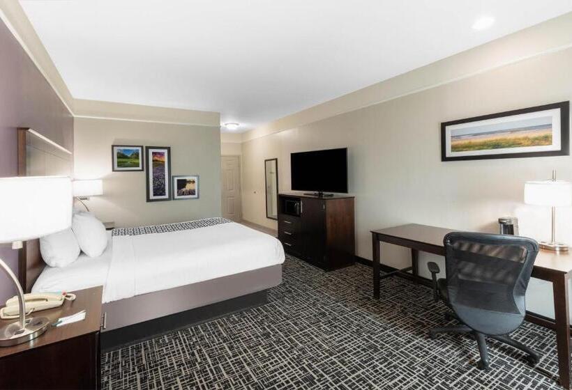 带大床的豪华间, La Quinta By Wyndham Port Lavaca