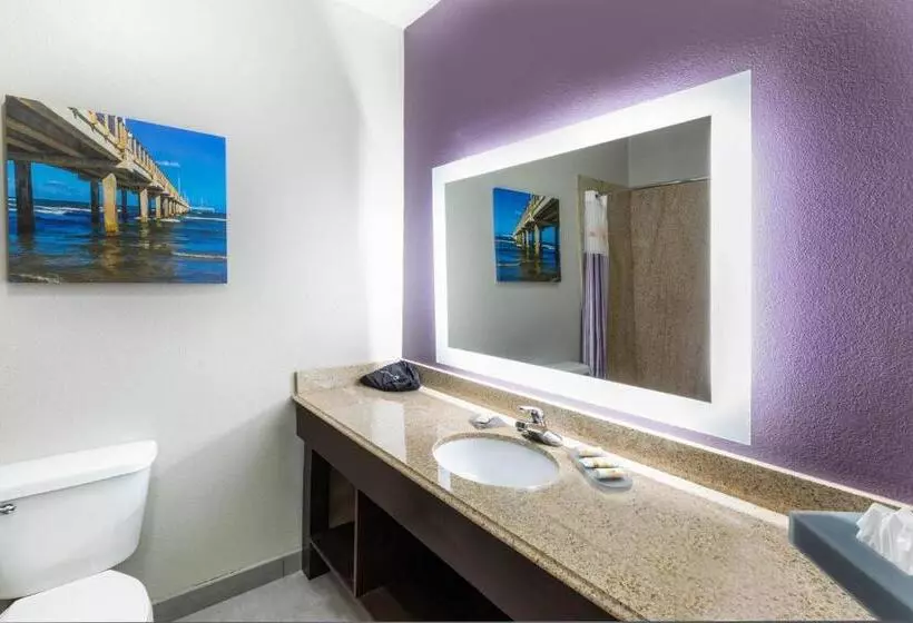 キングサイズベッドのエクゼクティブルーム, La Quinta By Wyndham Port Lavaca