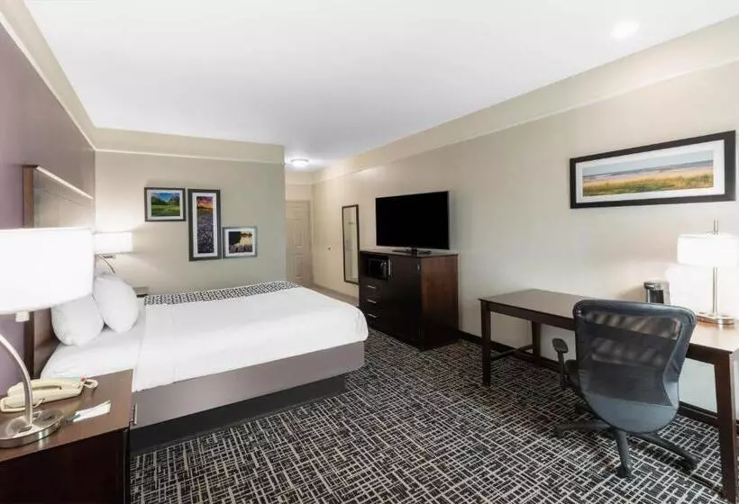 身障者適用キングサイズベッドルーム, La Quinta By Wyndham Port Lavaca