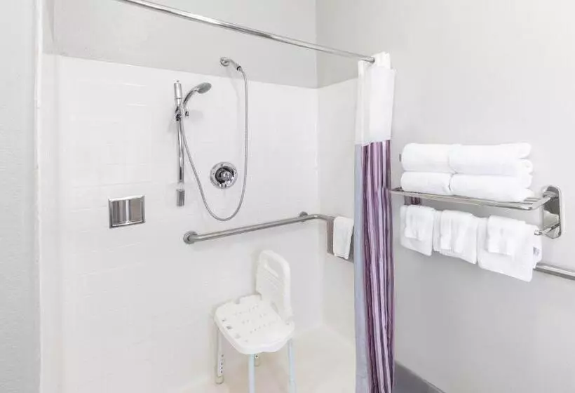 身障者適用キングサイズベッドルーム, La Quinta By Wyndham Port Lavaca