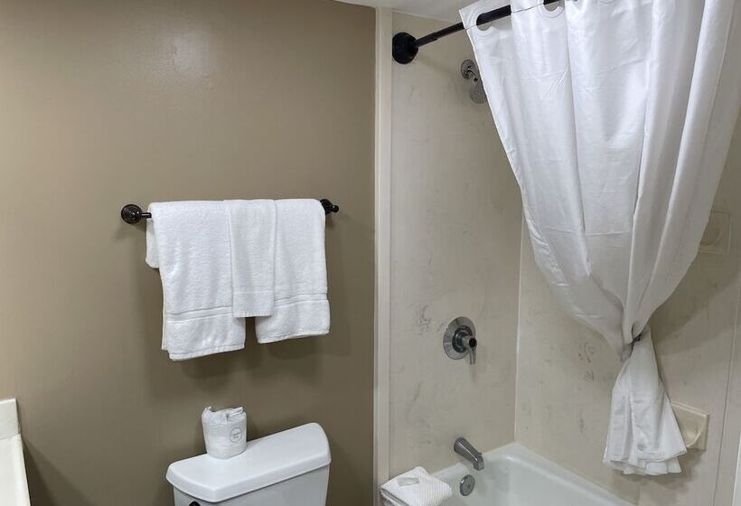 Quarto Estandar Cama Casal, The Paragon Of Golden Isles