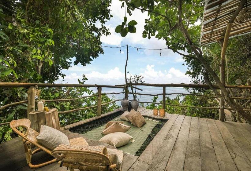 جناح مزود بحمام سباحة, The Korowai