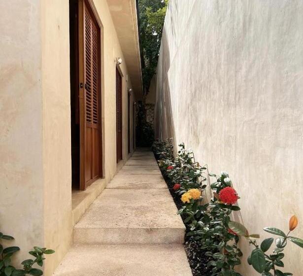 اتاق سوپریور, Bajo Las Hojas