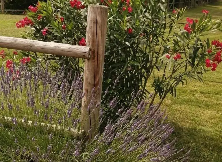 家族用バンガロー, La Fontaine De La Chapinière Cw